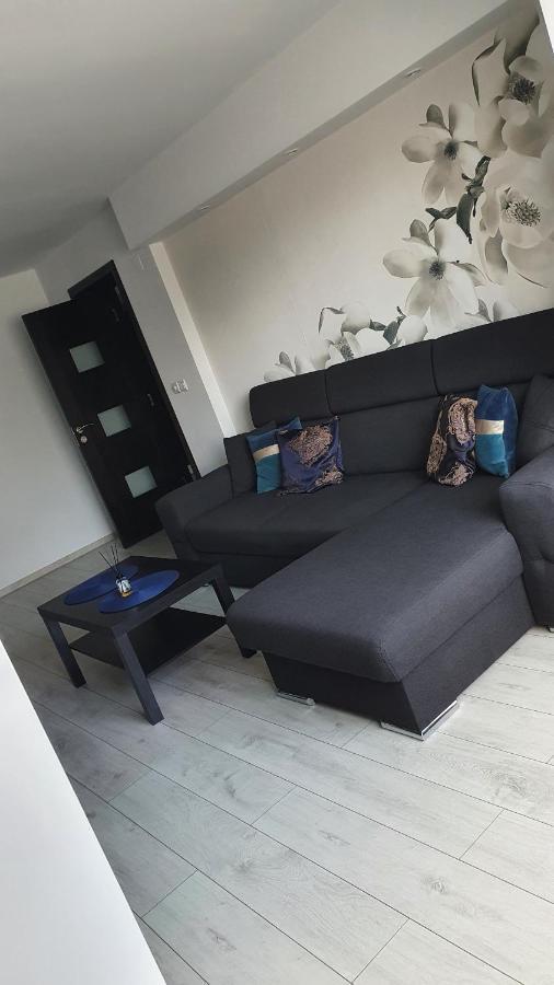 Apartament Modern Targoviste In Regim Hotelier Exterior photo